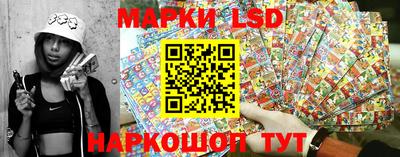 индика Заволжье