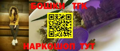 индика Заволжье