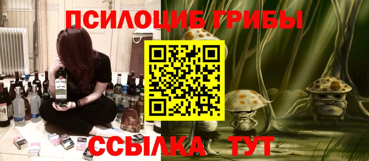 Псилоцибиновые грибы Psilocybe  Вход с VPN  Кизилюрт 