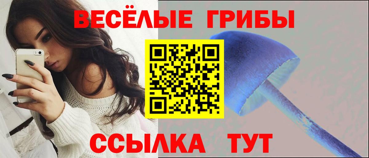 Псилоцибиновые грибы мухоморы Кизилюрт